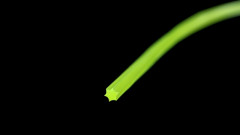 Lanko do kosa�ky GEKO, priemer 3,0mm x 15m hviezda