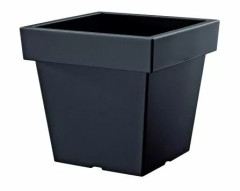 Kvetin�� Lofly Low 23,4 cm ANTRACIT (DLOFL240-S433)