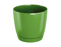 Kvetin�� COUBI-P okr�hly zelen� 21 cm