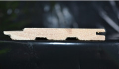 Profil tatransk� A/B 12,5x96x4200mm